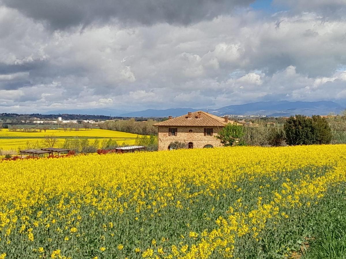 Podere Molinaccio Panicale Exterior photo